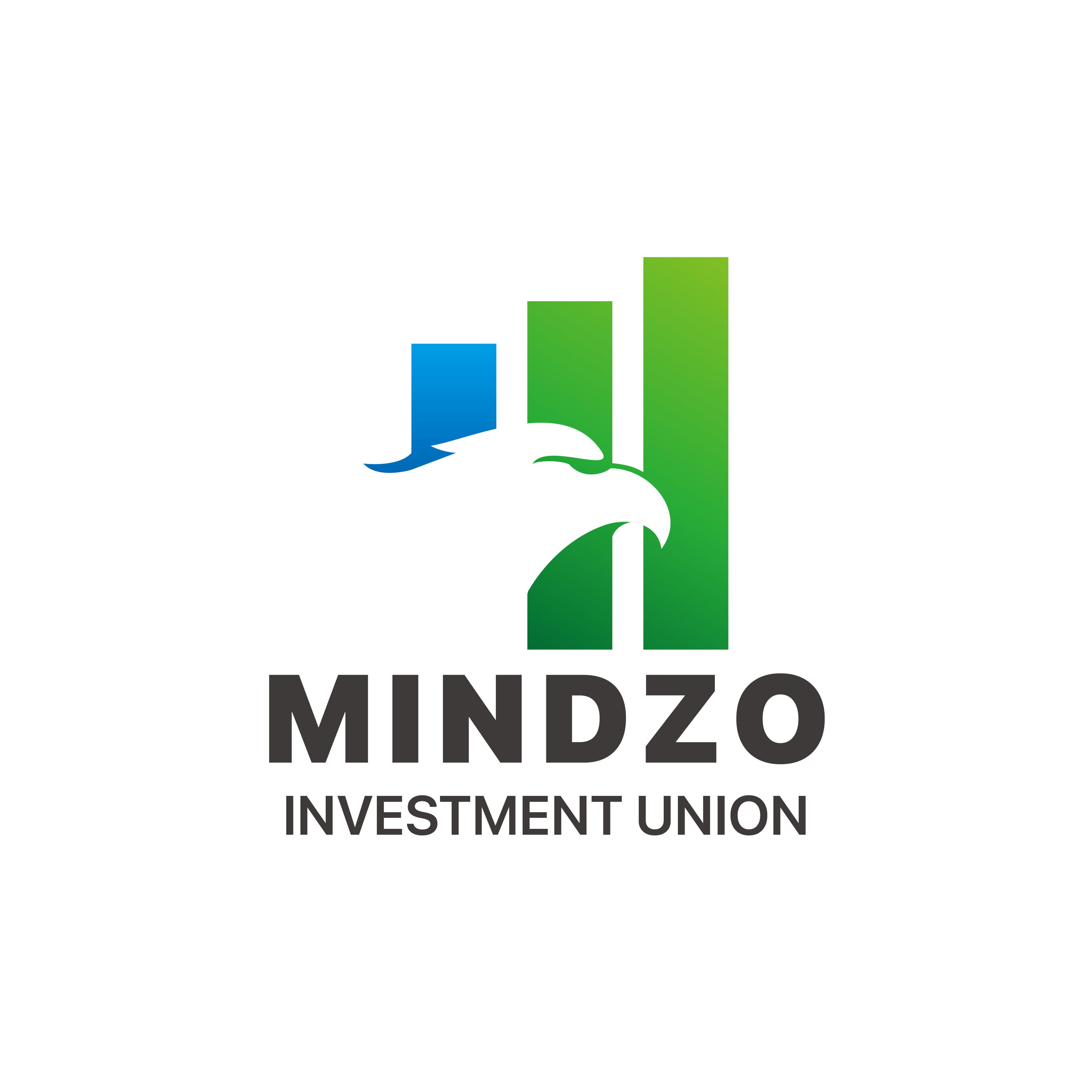 Mindzo Investment Union Overview